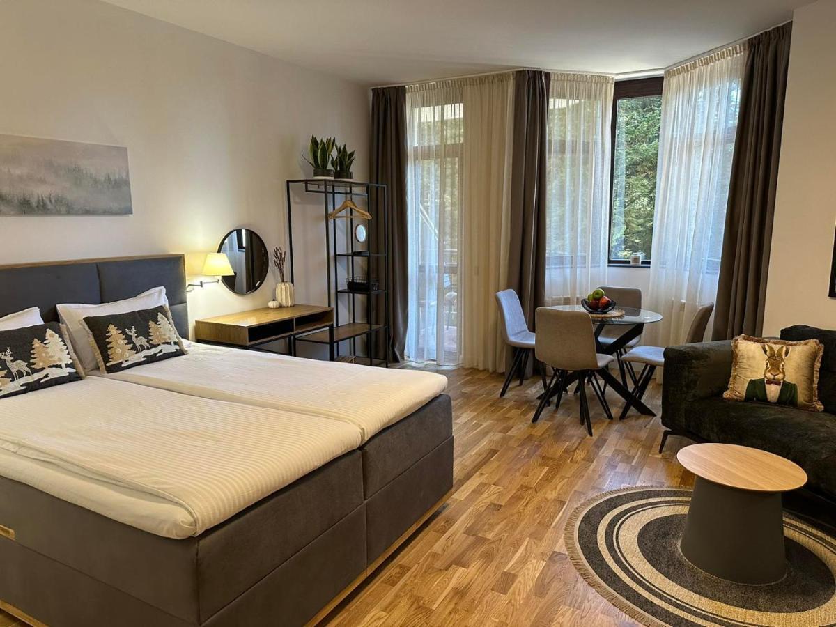 Sana Ski Apartment 313A In Flora, ボロヴェッツ エクステリア 写真