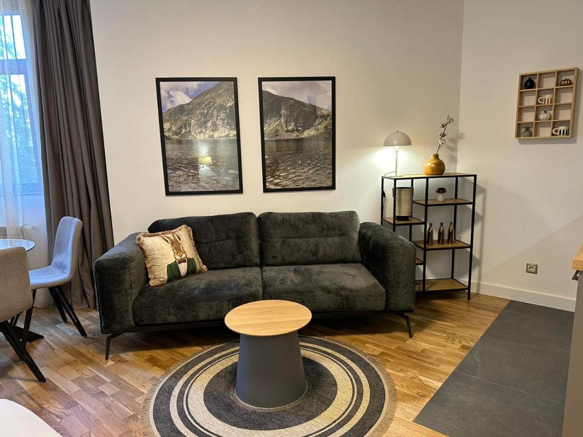 Sana Ski Apartment 313A In Flora, ボロヴェッツ エクステリア 写真
